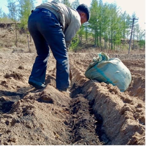 Landwirtschaftsprojekt3